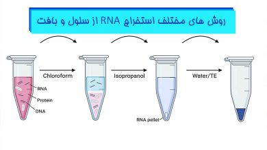 آموزش-جامع-تکنیک-های-استخراج-RNA
