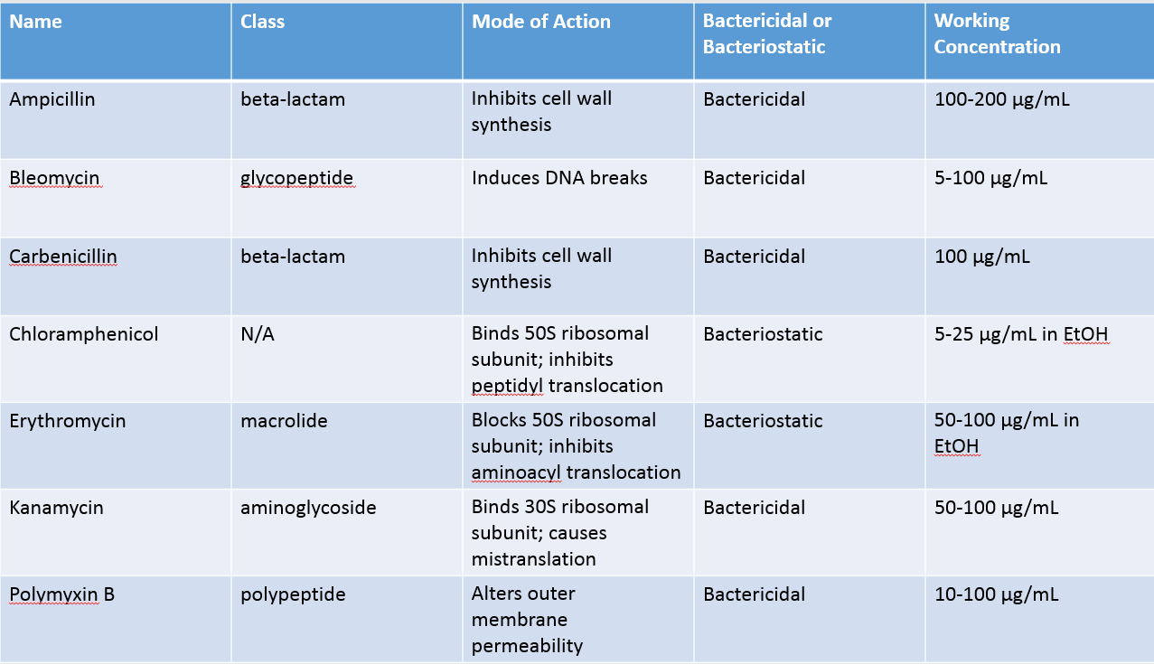 Selection Marker Ribosome Binding Site
