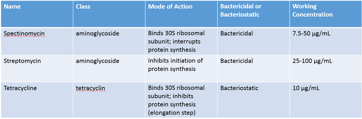 Selection Marker Ribosome Binding Site