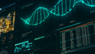 dna structure