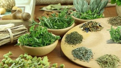 خواص و ويژگي هاي عصاره های گیاهان داروئي