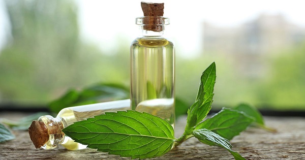 اسانس چیست؟ چگونه تهیه می شود؟