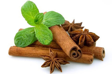 دنیای شگفت انگیزش گیاهان دارویی