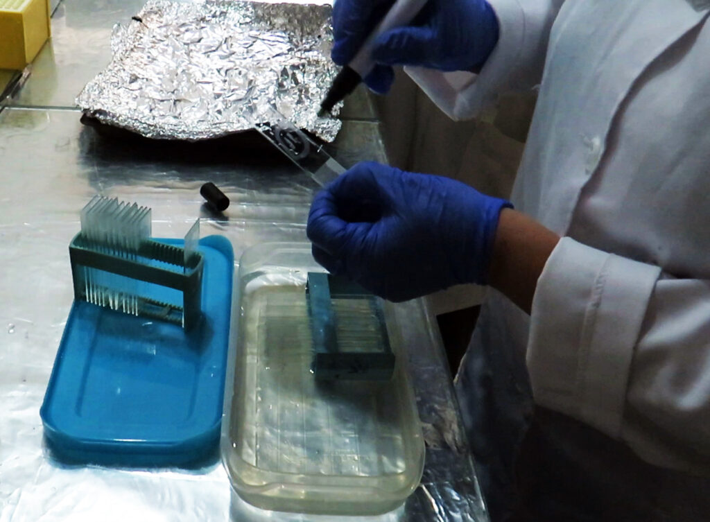تکنیک ایمونوهیستوشیمی IHC