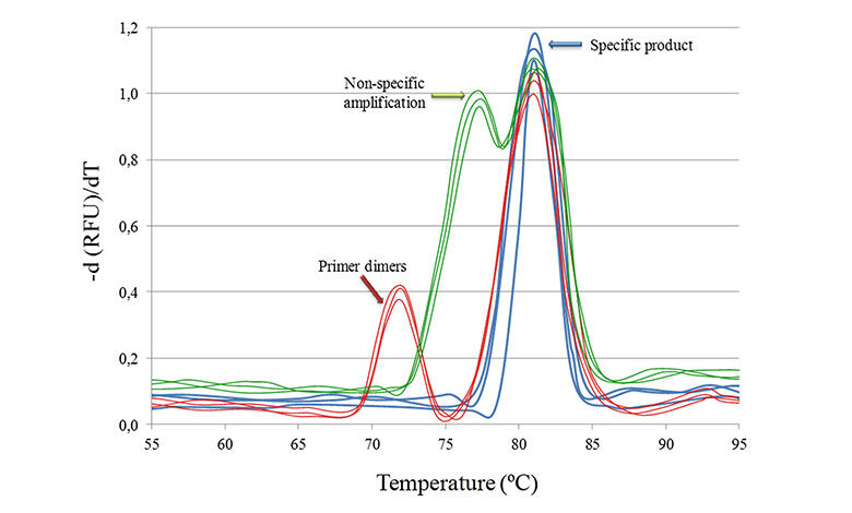 عيب يابي Real time pcr