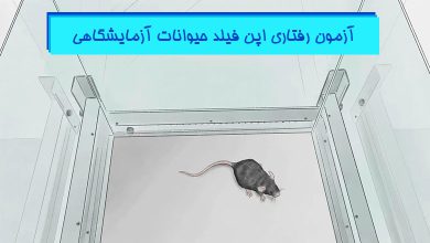 تست-رفتاری-اوپن-فیلد-Open-Field-هیستوژنوتک