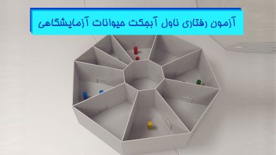 تست رفتاری ناول آبجکت Novel Object