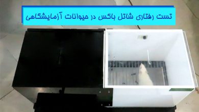 تست-رفتاری-شاتل-باکس-موش-آزمایشگاهی