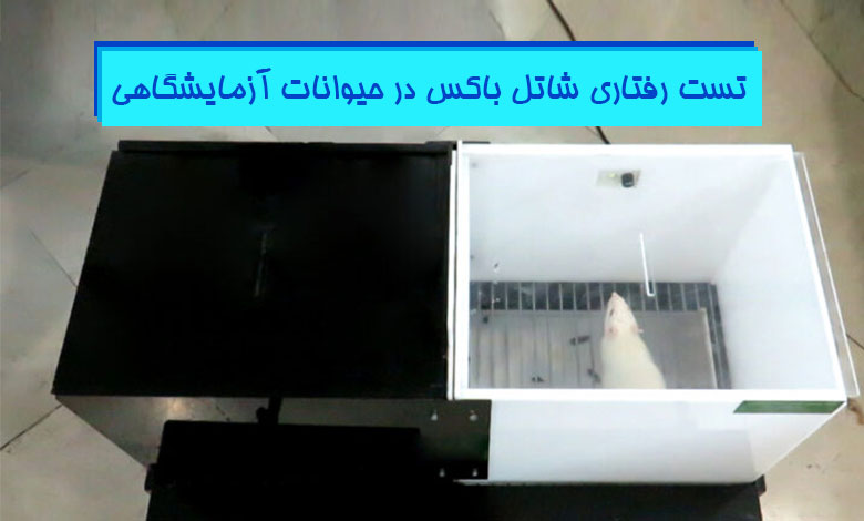 تست-رفتاری-شاتل-باکس-موش-آزمایشگاهی