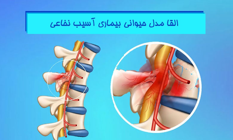 القای آسیب نخاعی در حیوانات آزمایشگاهی - هیستوژنوتک