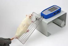 grip strength test - شرکت دانش بنیان بافت و ژن پاسارگاد