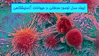 ایجاد مدل تومور سرطانی در حیوانات آزمایشگاهی هیستوژنوتک