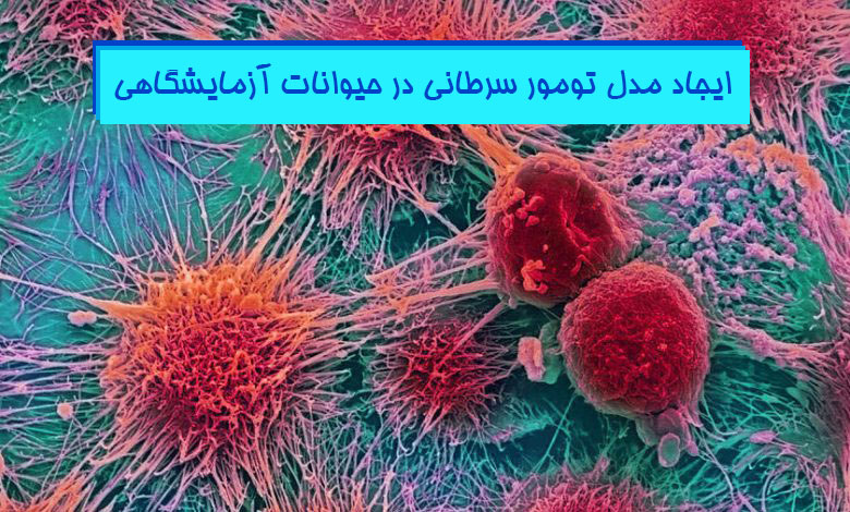 ایجاد مدل تومور سرطانی در حیوانات آزمایشگاهی هیستوژنوتک