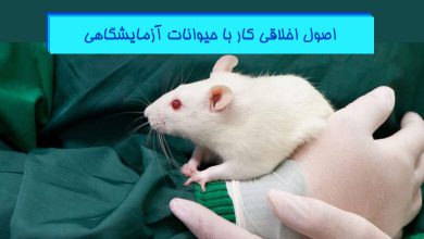 اصول اخلاقی کار با موش آزمایشگاهی - جهت طرح های پژوهشی
