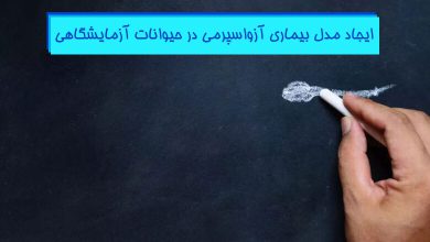 القای مدل بیماری آزو اسپرمی در حیوانات آزمایشگاهی - هیستوزنوتک