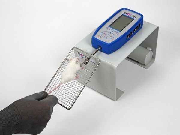 grip-strength-test- تست رفتاری گریپ - انواع آزمایش های رفتاری حسی و حرکتی در موش