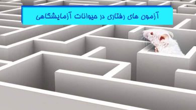 تست های رفتاری در موش و رت