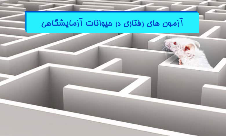 تست های رفتاری در موش و رت