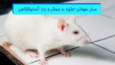 ایجاد مدل حیوانی اعتیاد در حیوانات آزمایشگاهی - هیستوژنوتک