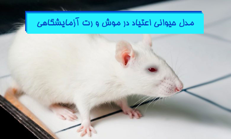 ایجاد مدل حیوانی اعتیاد در حیوانات آزمایشگاهی - هیستوژنوتک