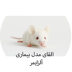 القای بیماری آلزایمر