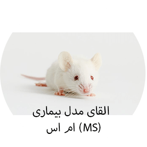 القای بیماری ام اس MS