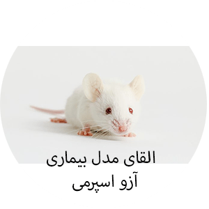 القای-مدل-بیماری-آزو-اسپرمی