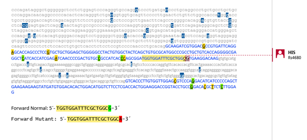 طراحی پرایمر ARMS-PCR