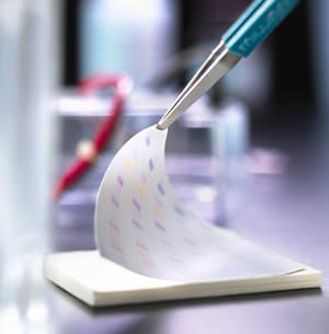 کاغذ-غشا-PVDF وسترن بلات 