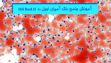 آموزش جامع رنگ آمیزی اویل رد در پاتولوژی - هیستوژنوتک