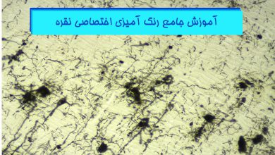 آموزش روش رنگ آمیزی نقره و رنگ آمیزی گلژی در بافت شناسی