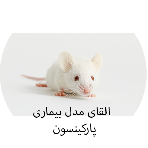 القای-بیماری-پارکینسون