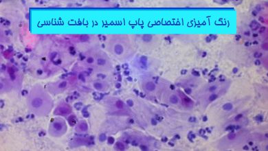 آموزش-جامع-مراحل-رنگ-آمیزی-پاپ-اسمیر-در-بافت-شناسی-هیستوژنوتک