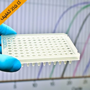 تخفیف پاییزه هیستوژنوتک - Real-time PCR
