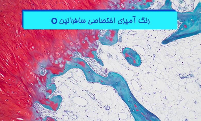 آموزش رنگ آمیزی سافرانین O - هیستوژنوتک