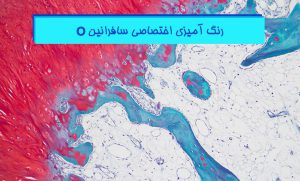 آموزش رنگ آمیزی سافرانین O - هیستوژنوتک