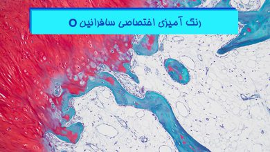 آموزش رنگ آمیزی سافرانین O - هیستوژنوتک