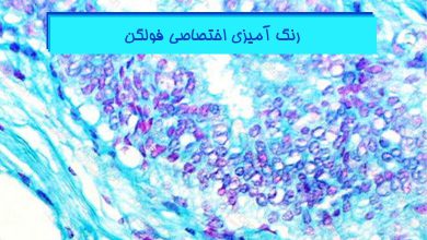 آموزش رنگ آمیزی فولگن پاتولوژی - هیستوزنوتک