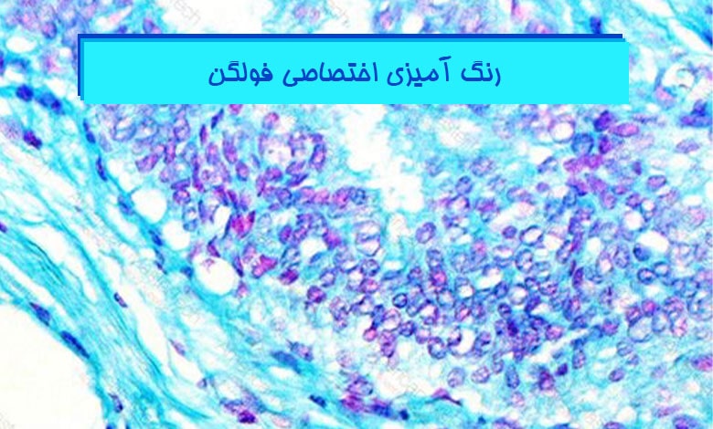 آموزش رنگ آمیزی فولگن پاتولوژی - هیستوزنوتک