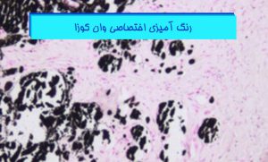 آموزش رنگ آمیزی وان کوزا در پاتولوژی