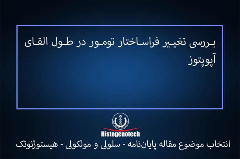 بررسی تغییر فراساختار تومور در طول القای آپوپتوز