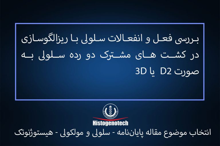 بررسی فعل و انفعالات سلولی با ریزالگوسازی در کشت های مشترک دو رده سلولی به صورت D2 یا 3D