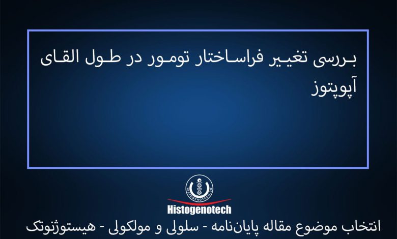 بررسی تغییر فراساختار تومور در طول القای آپوپتوز