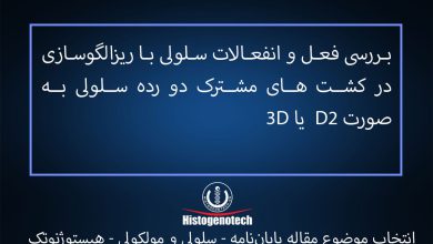 بررسی فعل و انفعالات سلولی با ریزالگوسازی در کشت های مشترک دو رده سلولی به صورت D2 یا 3D