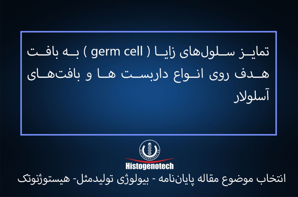 تمایز-سلولهای-زایا-(-germ-cell-)-به-بافت-هدف-روی-انواع-داربست ها-و-بافت های-آسلولار