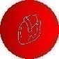 Cardiovascular