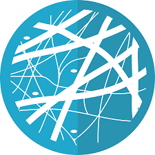 Connective tissue