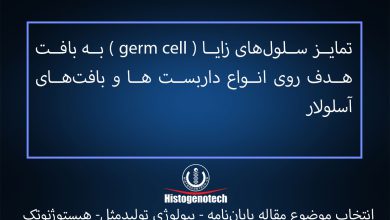 تمایز-سلولهای-زایا-(-germ-cell-)-به-بافت-هدف-روی-انواع-داربست ها-و-بافت های-آسلولار