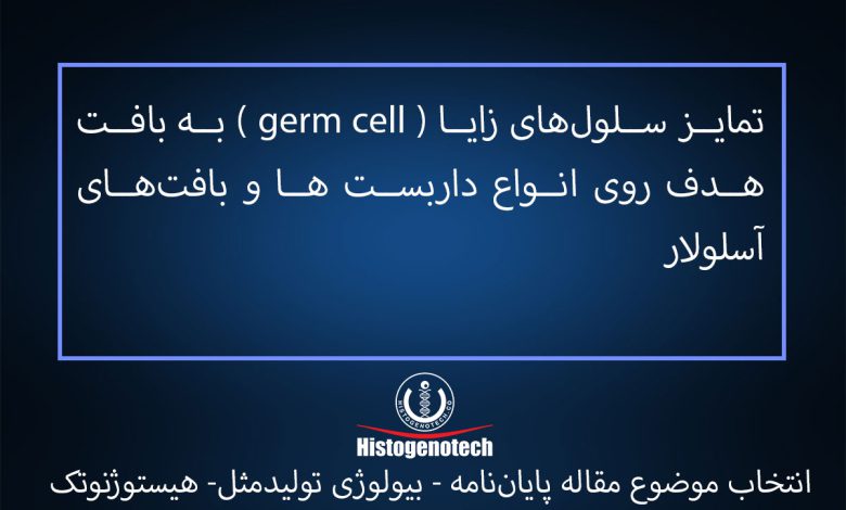 تمایز-سلولهای-زایا-(-germ-cell-)-به-بافت-هدف-روی-انواع-داربست ها-و-بافت های-آسلولار