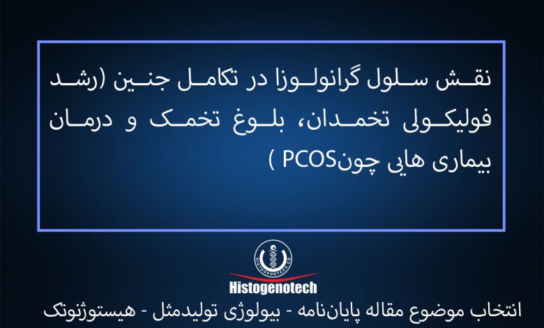 موضوع پایان نامه نقش-سلول-گرانولوزا-در-تکامل-جنین-(رشد-فولیکولی-تخمدان،-بلوغ-تخمک-و-درمان-بیماری-هایی-چونPCOS-)